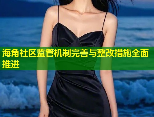 海角社区监管机制完善与整改措施全面推进
